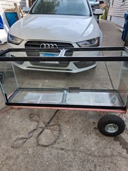 Large Aquarium