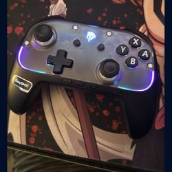 switch 2 pro controller