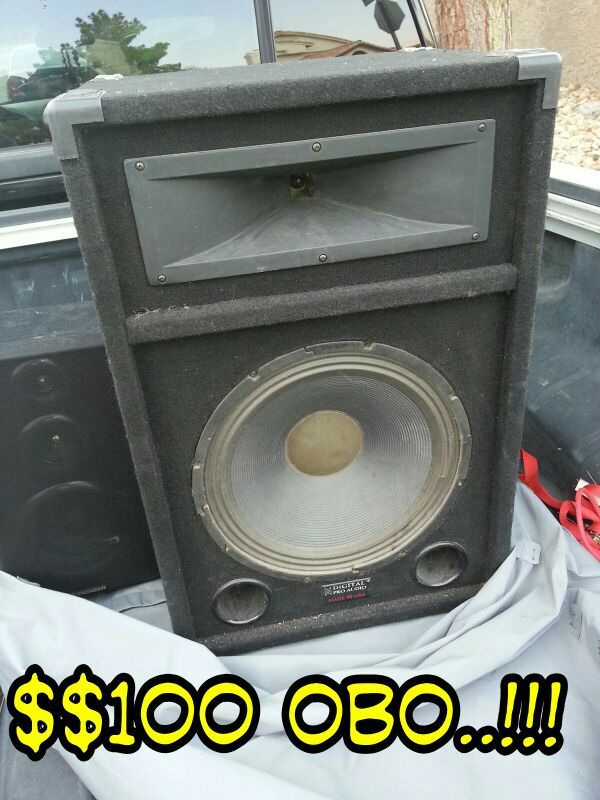 15" stage speaker