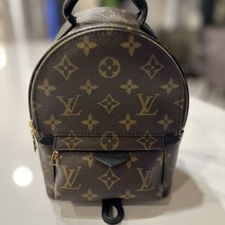 Authentic Louis Vuitton Palm Springs Mini 