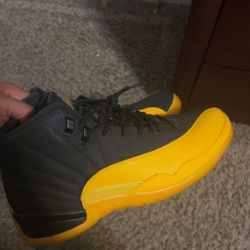 Jordan 12 Size 11