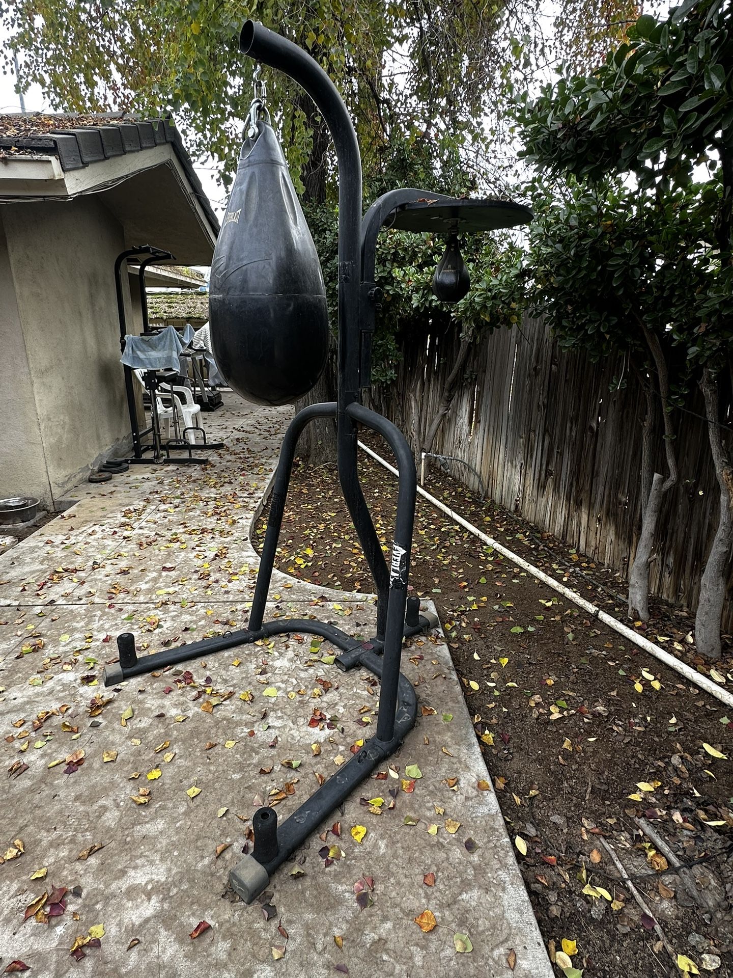 Boxing Bag, Stand And Gloves 