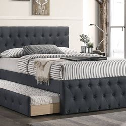 Brand New Dark Grey Twin Size Bed Frame w Trundle Bed 
