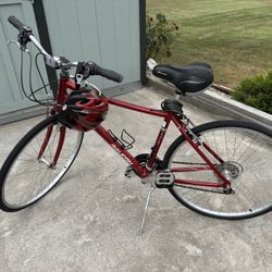 Raleigh Detour 35