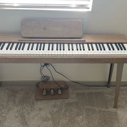 Donner 88 Key Digital Piano for beginners