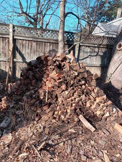 Fire Wood For Low Price 