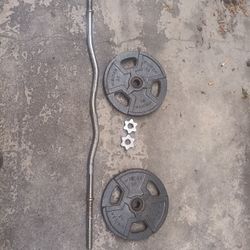 Curl Bar With 25lb Cast Iron Weights 