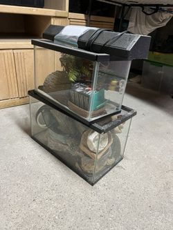Reptile Supplies, Hides, Bulbs And More