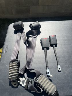 2021 Kawasaki Krx seat belts