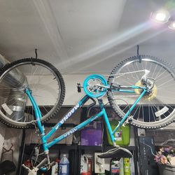 Womes Bike And Double Kids Trailer