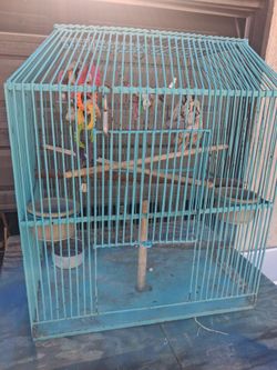 Parrot cage