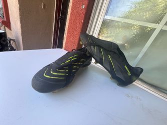 Predator