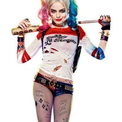 Harley Quinn Cosplay COMPLETE