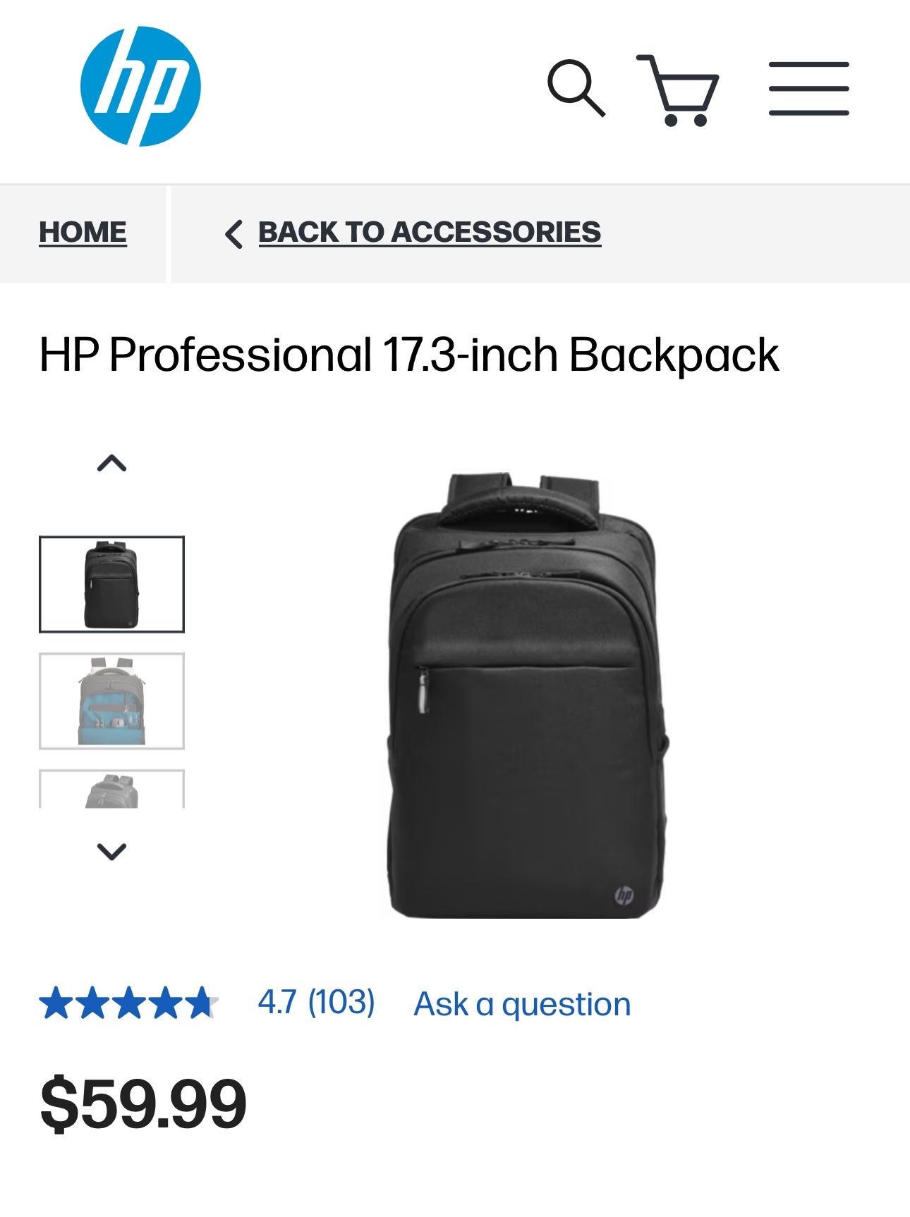 HP Professional Laptop Backpack 