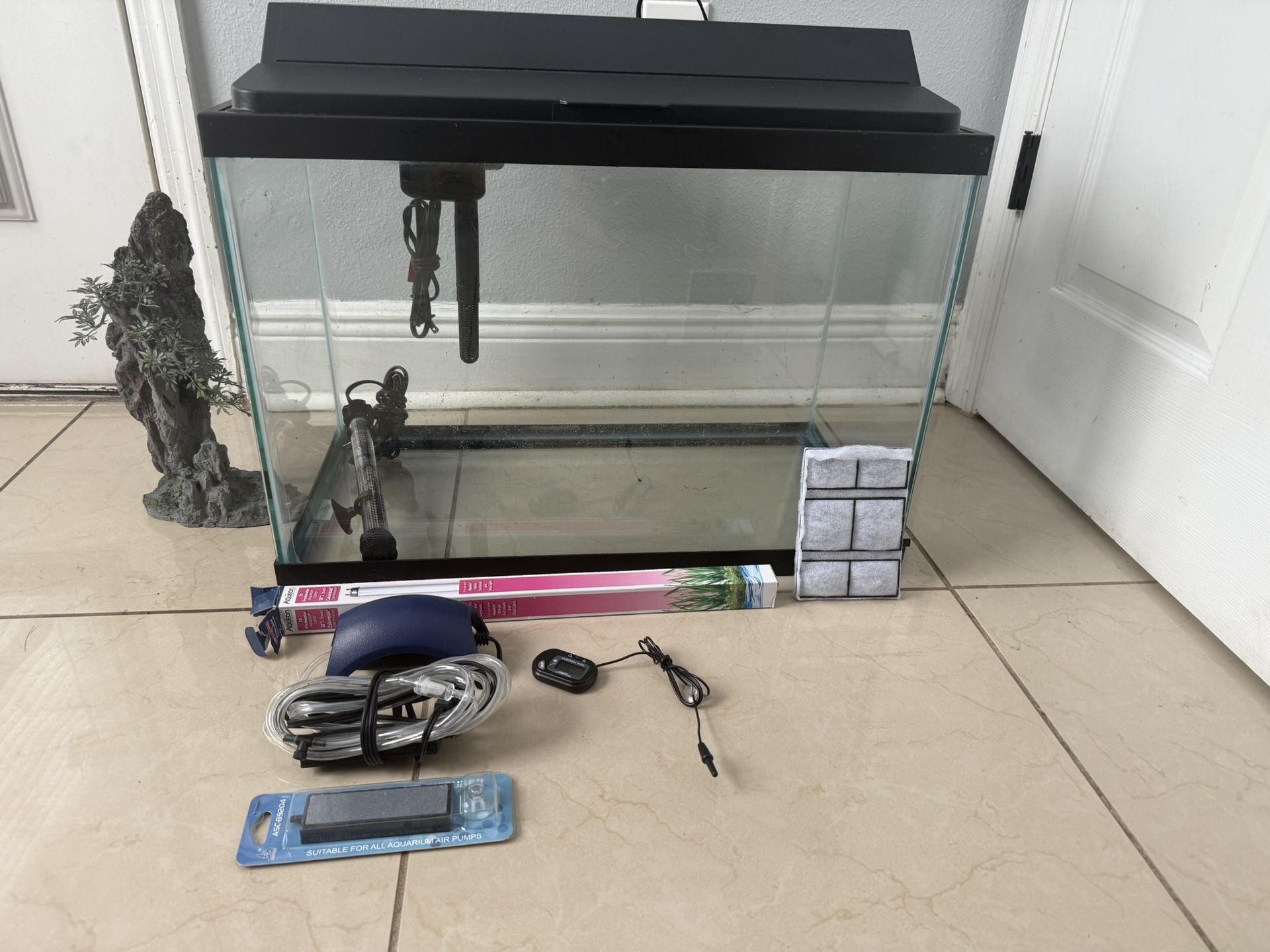 20 Gallon Aquarium Setup