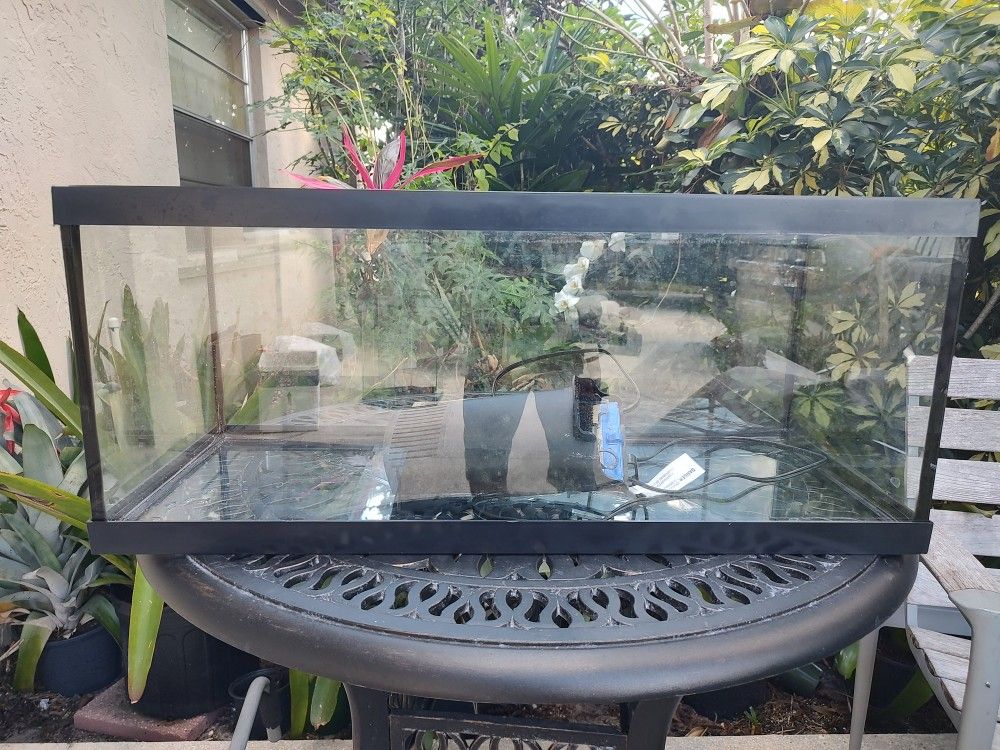Fish Tank 40 Bucks
