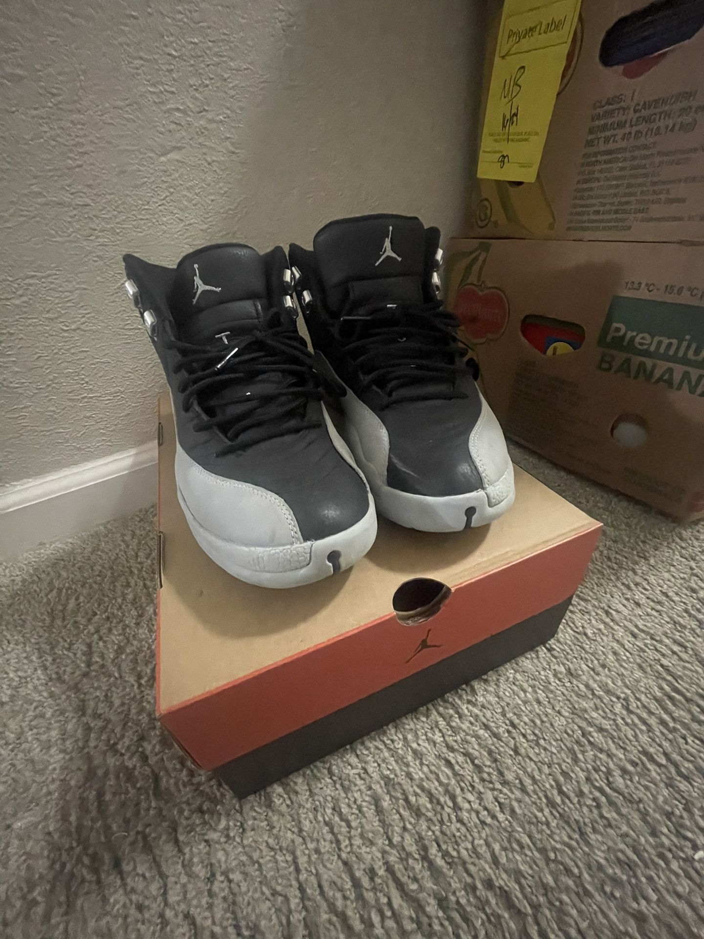Jordan 12 Barons