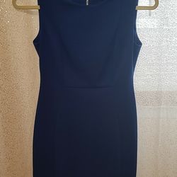 Royal Blue Calvin Klein Dress