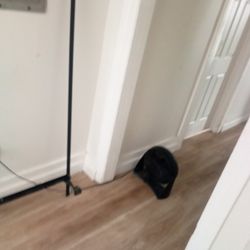 Rail Frames For Twin And Queen 