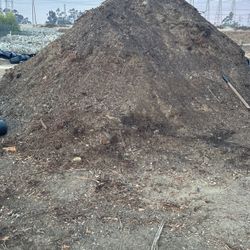 Free Soil (planting