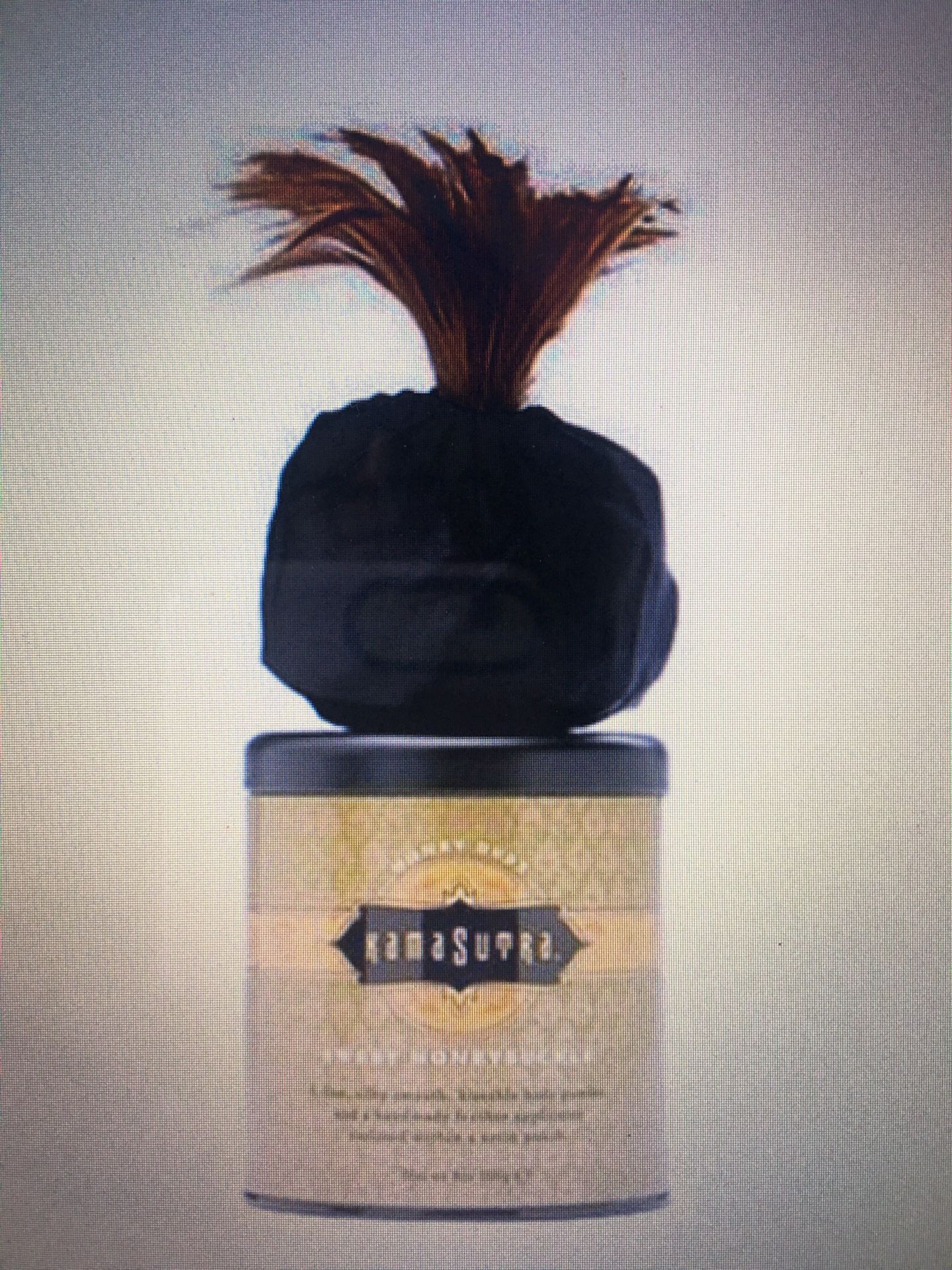 NEW! KAMA SUTRA Honey Dust Kissable Body Powder & Feather Applicator (Retails For $50+)