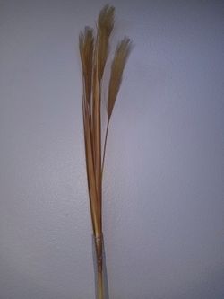 Pier1 Faux Reed (2 stems)