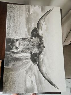 Cowboys BullRiding Decor