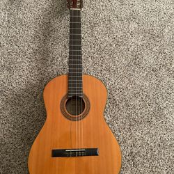 Acoustic Guitar 