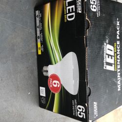 Led Lights Dimmable Br 30