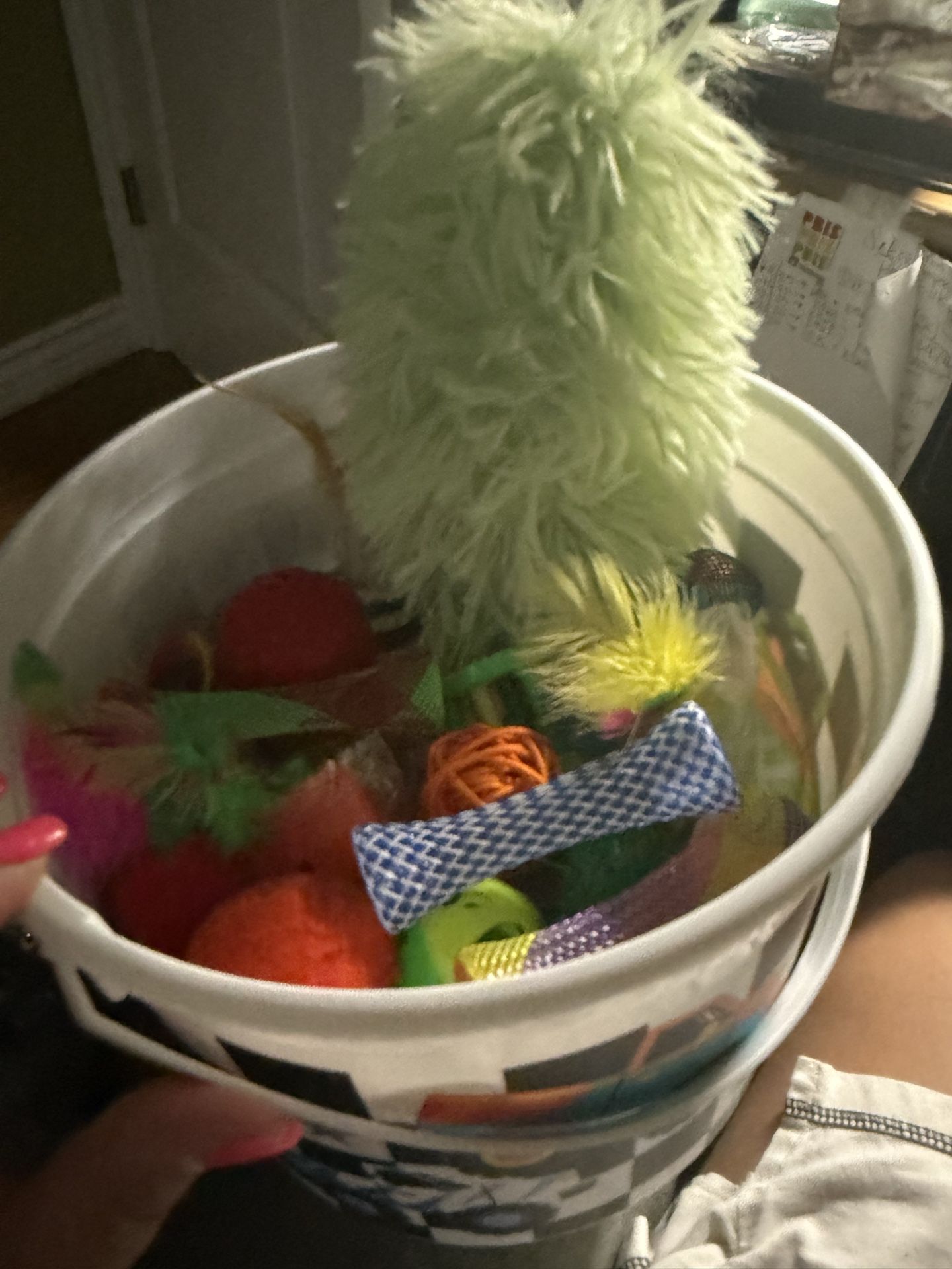 New Pet Toys