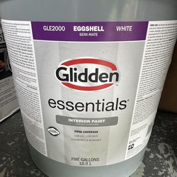 Glidden Essentials 5 gal. White Eggshell Interior Paint