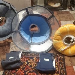 Dog Cones And Dipers 