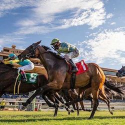Opening day Del Mar Horse Races