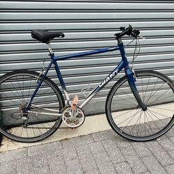 Giant XL Bike
