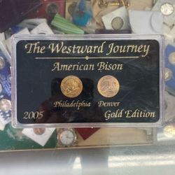 The Westward Journey