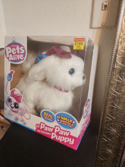 Pets alive