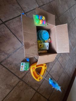 Cat stuff