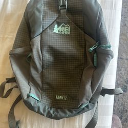 REI Infant/Toddler Hiking backpack