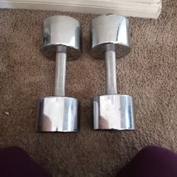 25 Lb Weights