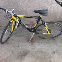 Bicycle 