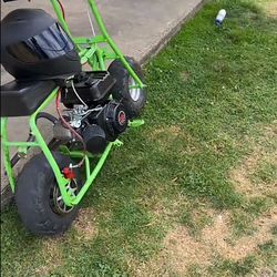 Doodle bug with predator 212