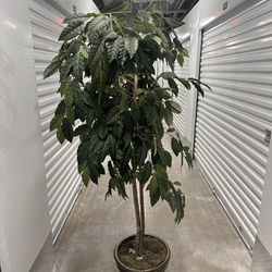 6ft Fake Indoor Plant 