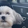 Mylilbaby