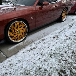 Rucci 24” Triple Gold 