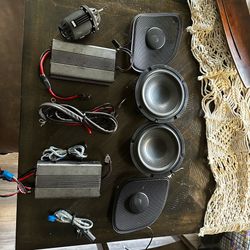 Wild Boar Audio WBC 1654 Speaker and Amplifier Set