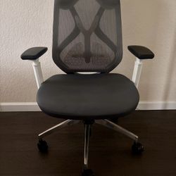 Ergonomic Office Chair