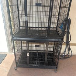 Dog Kennel, Cage, Double
