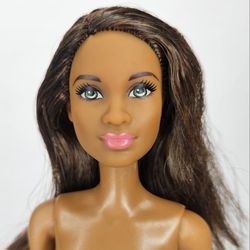 Barbie Fashionista #21 AA Green Eyes DGY56 Grace Mbili Facemold