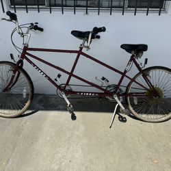 Fiore Tandem Bike 