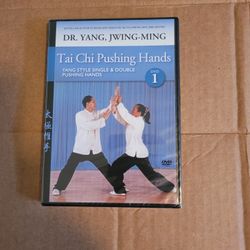 NEW TAI CHI PUSHING HANDS 